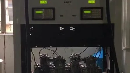 Dispensador de combustible Rt-B224 con sistema de gestión de tarjetas IC